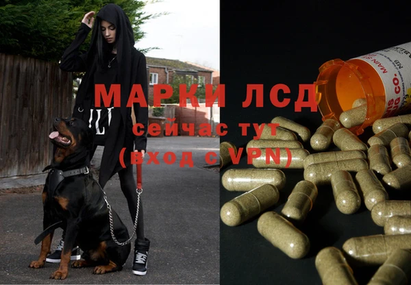 марки lsd Алзамай