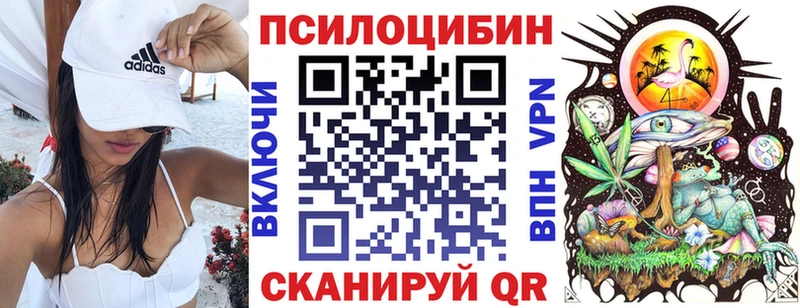 Псилоцибиновые грибы GOLDEN TEACHER  наркошоп  дарк нет формула  Дубовка 